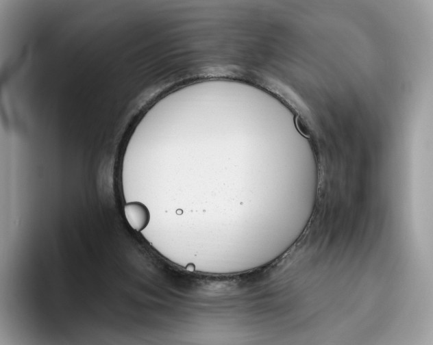 X0000095960155200802011129