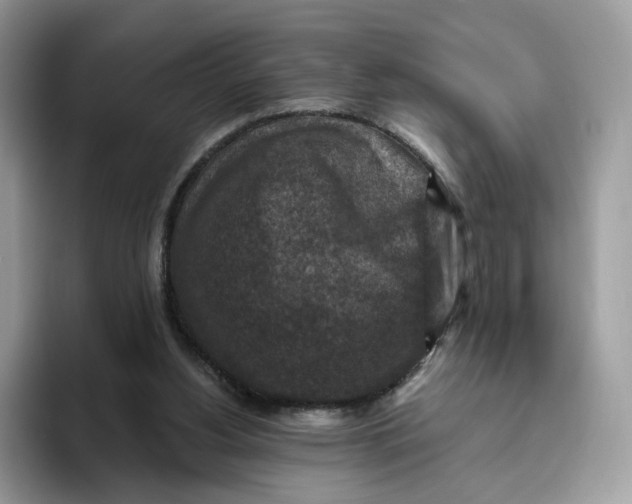 X0000095960156200802011129