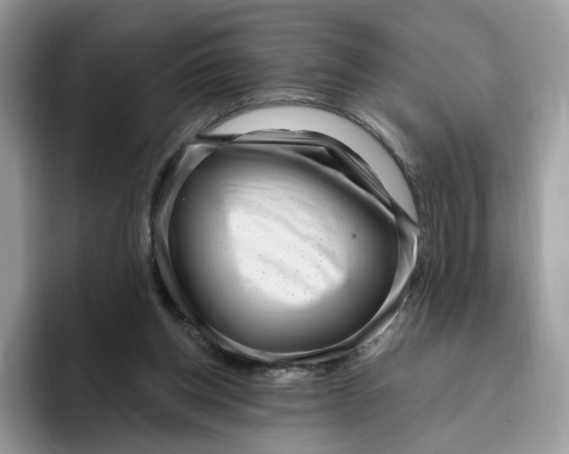 X0000095960158200802011129