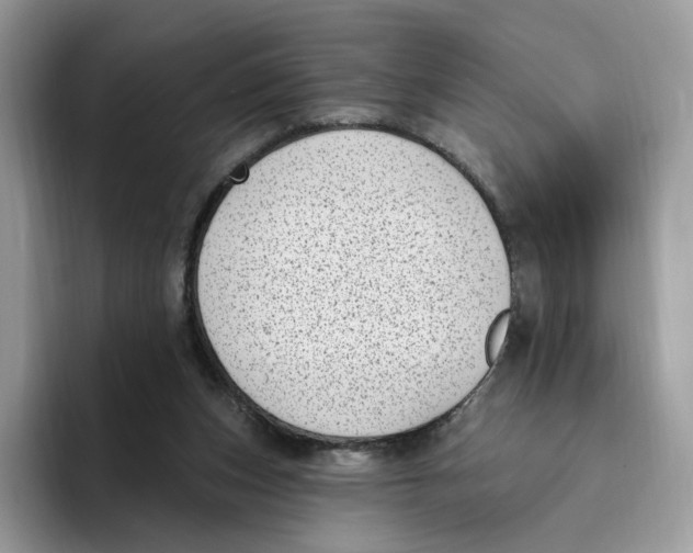 X0000095960159200802011129