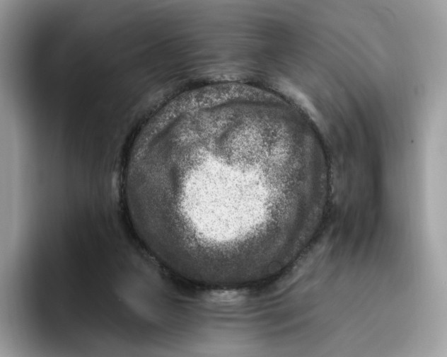 X0000095960161200802011129