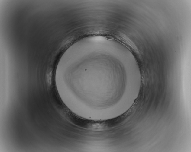 X0000095960163200802011129