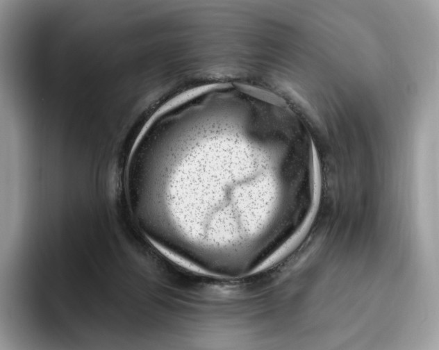 X0000095960164200802011129