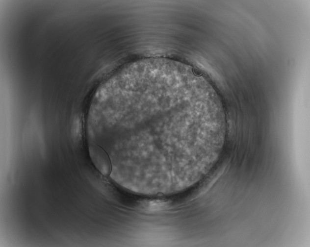 X0000095960165200802011129