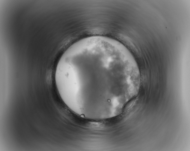 X0000095960167200802011129