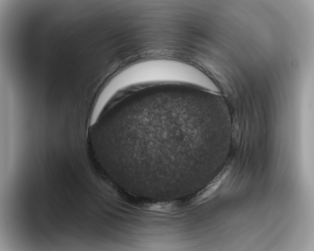 X0000095960168200802011129