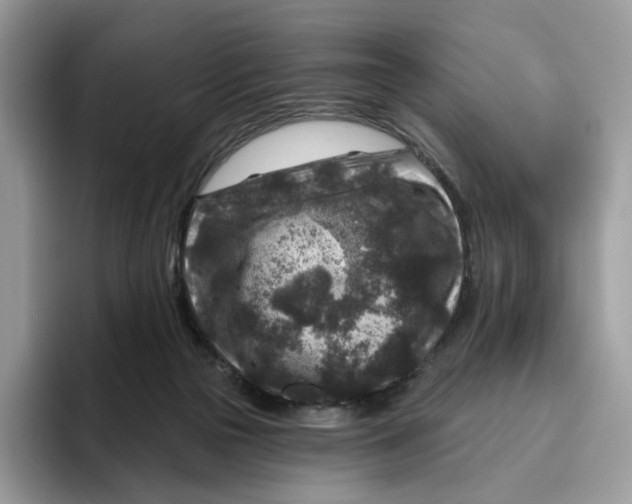 X0000095960169200802011129