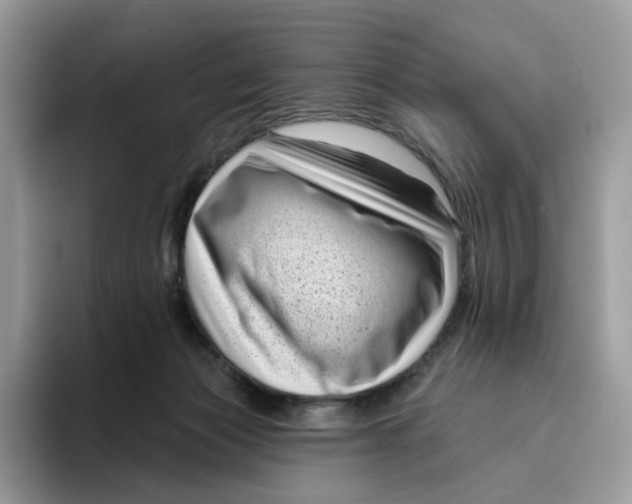 X0000095960173200802011129