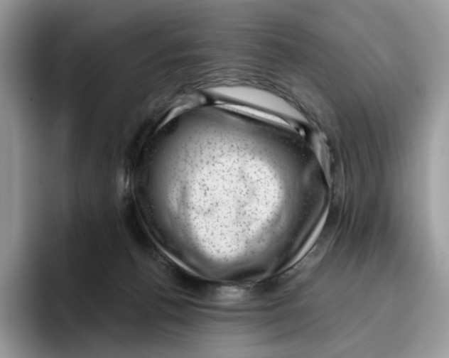 X0000095960176200802011129