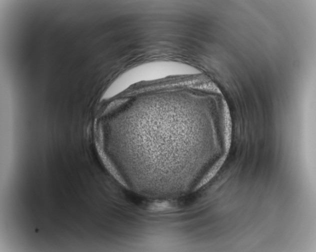 X0000095960177200802011129