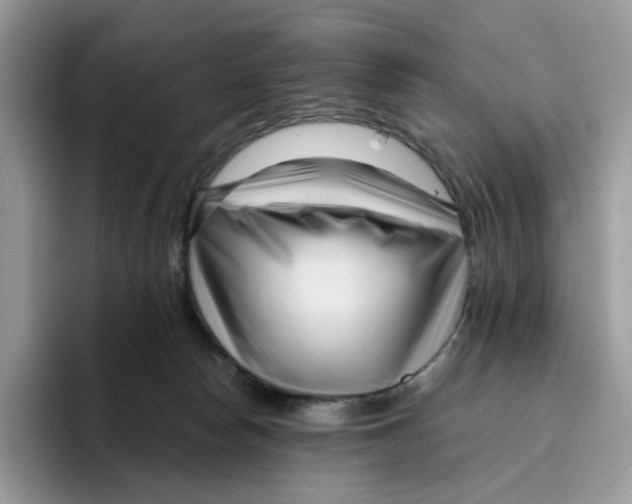 X0000095960178200802011129