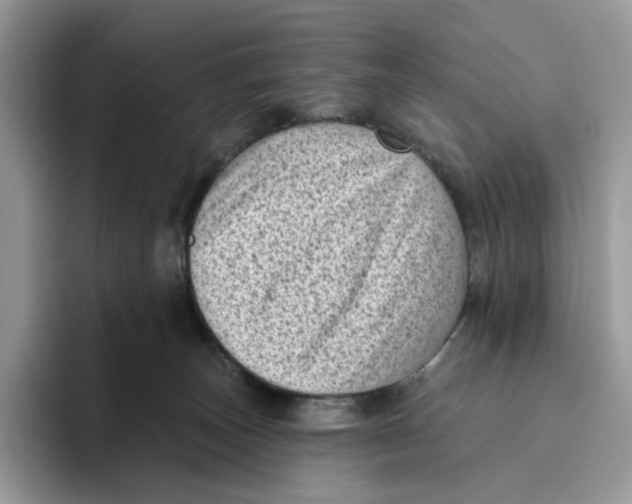 X0000095960179200802011129