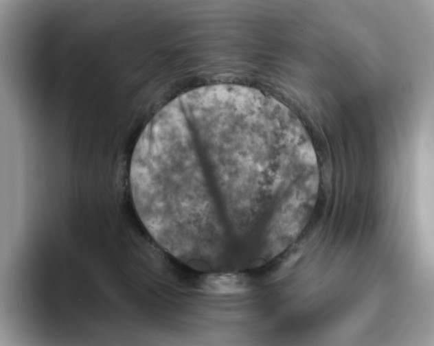 X0000095960181200802011129