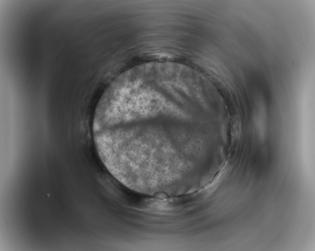 X0000095960182200802011129