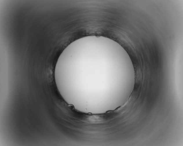 X0000095960183200802011129