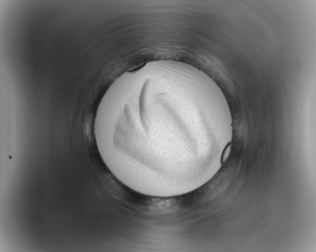 X0000095960185200802011129