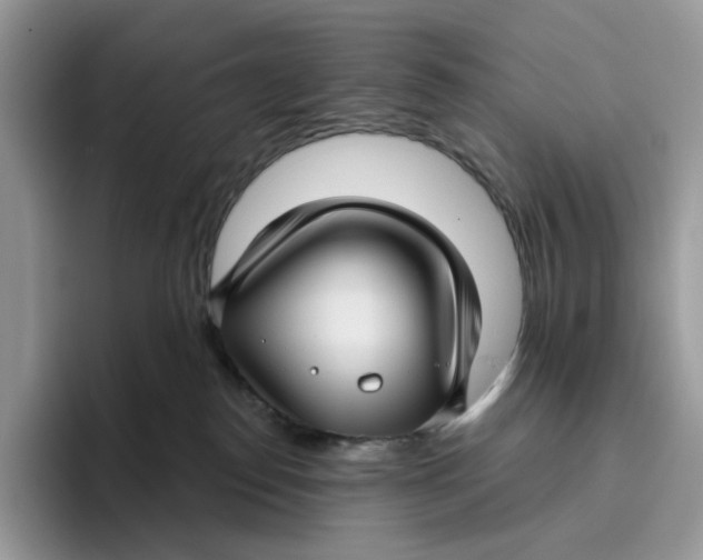 X0000095960186200802011129