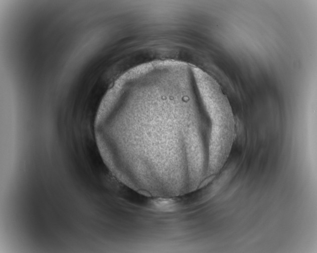 X0000095960189200802011129