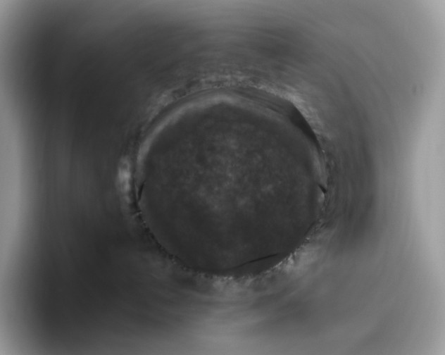 X0000095960192200802011129