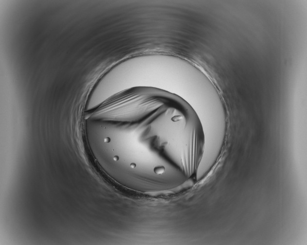 X0000095960193200802011129