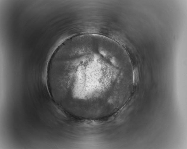 X0000095960195200802011129