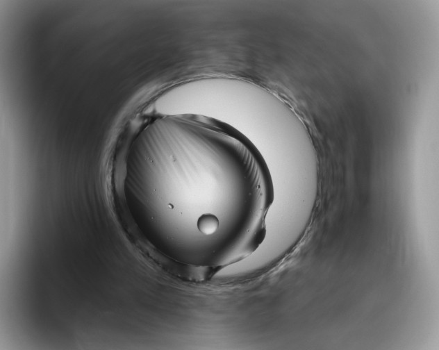 X0000095960197200802011129