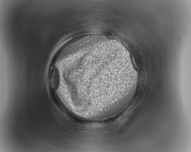 X0000095960198200802011129