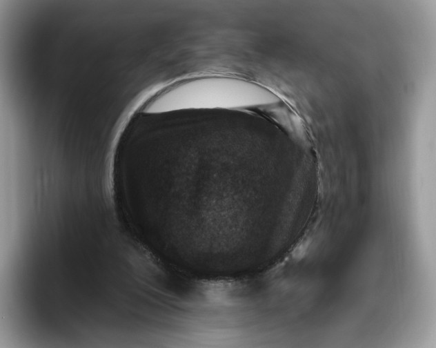 X0000095960200200802011128