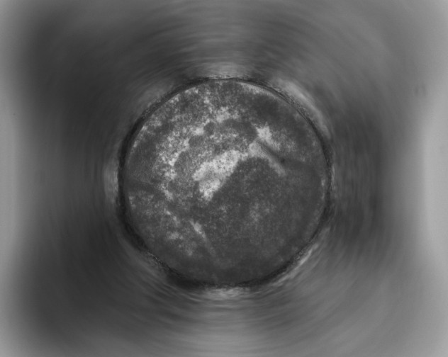 X0000095960202200802011128