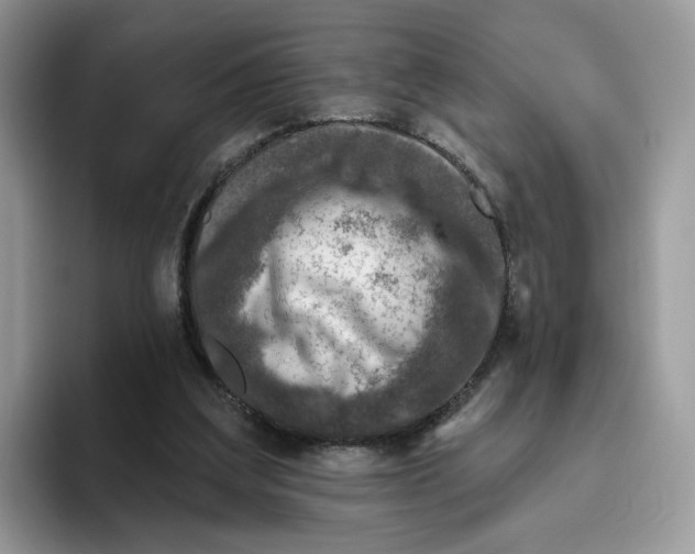 X0000095960203200802011128