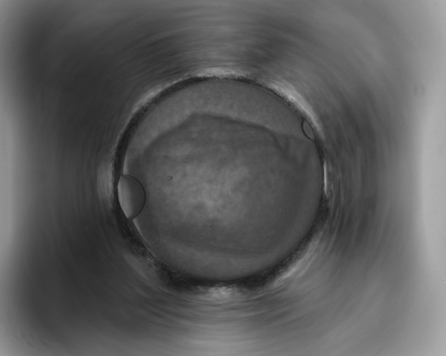 X0000095960204200802011128