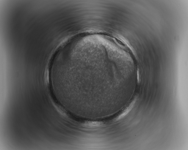 X0000095960205200802011128