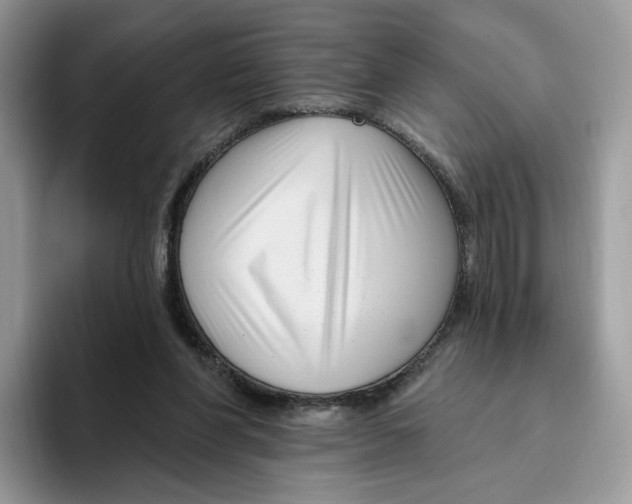 X0000095960206200802011128