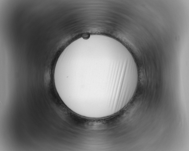 X0000095960208200802011128