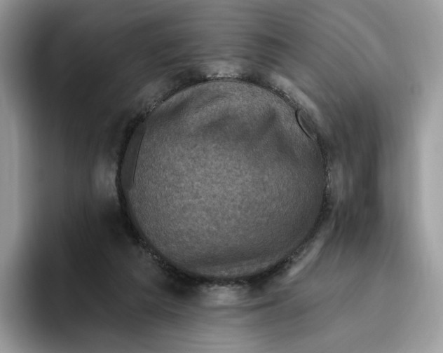 X0000095960209200802011128