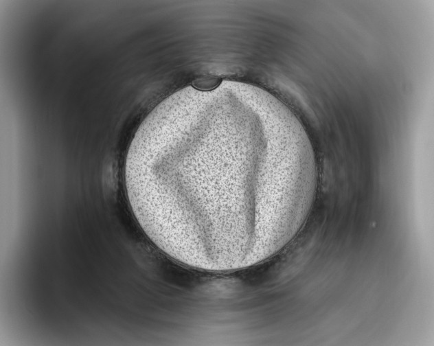 X0000095960210200802011128