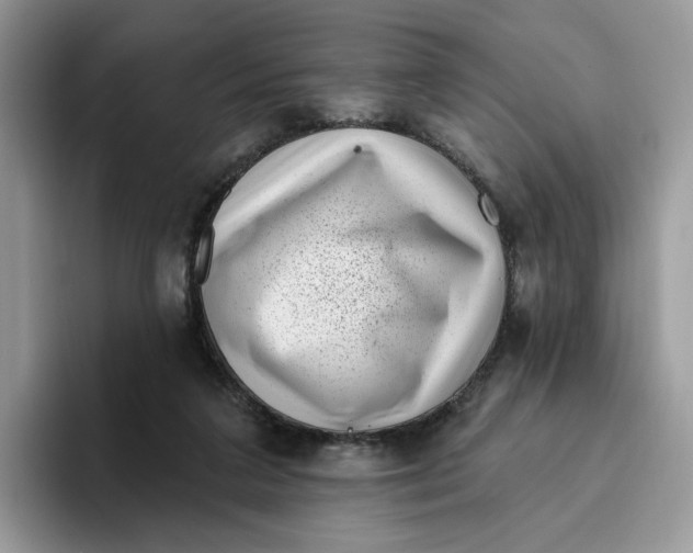 X0000095960211200802011128