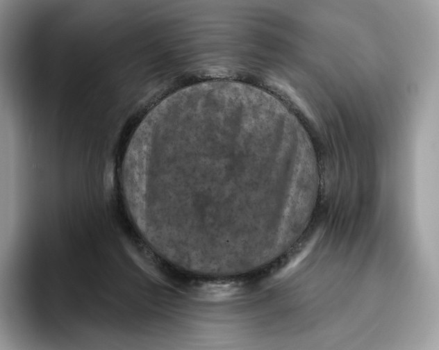 X0000095960213200802011128