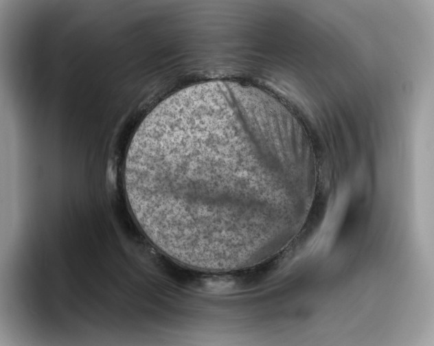 X0000095960214200802011128