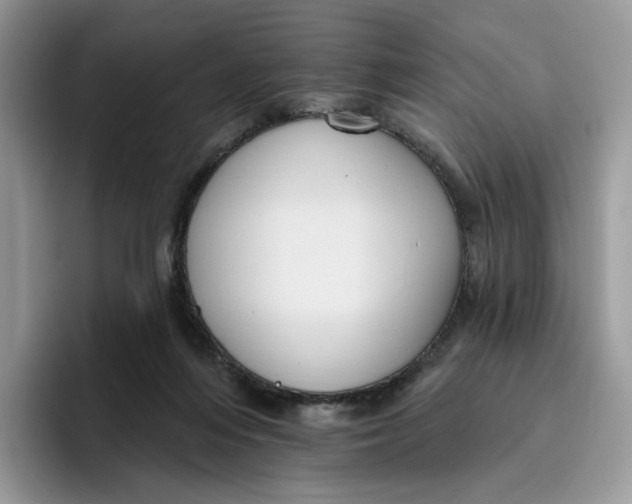 X0000095960216200802011128