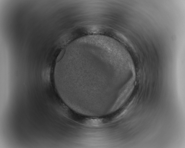 X0000095960217200802011128