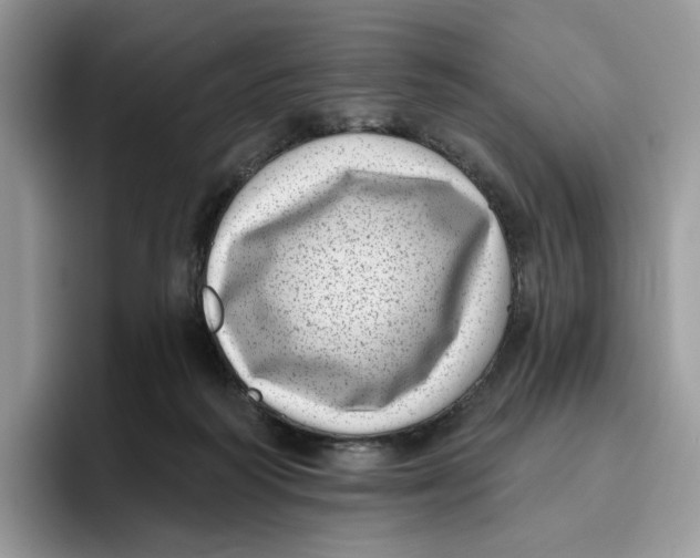 X0000095960218200802011128