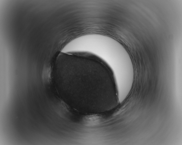 X0000095960219200802011128