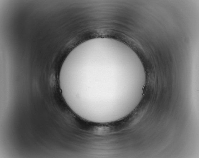 X0000095960220200802011128