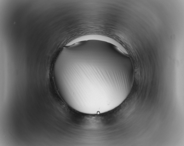 X0000095960221200802011128