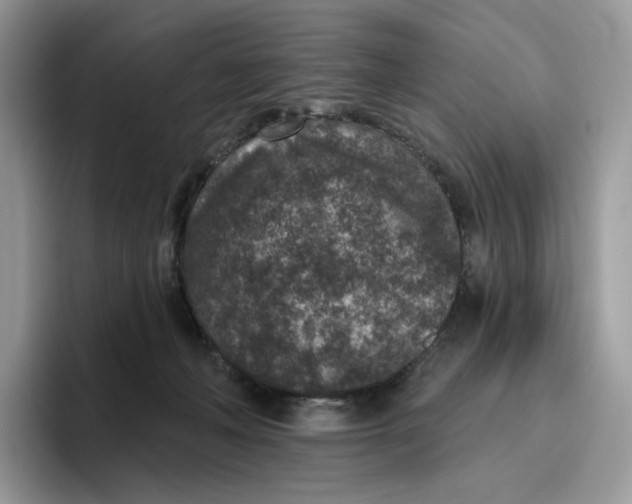 X0000095960222200802011128