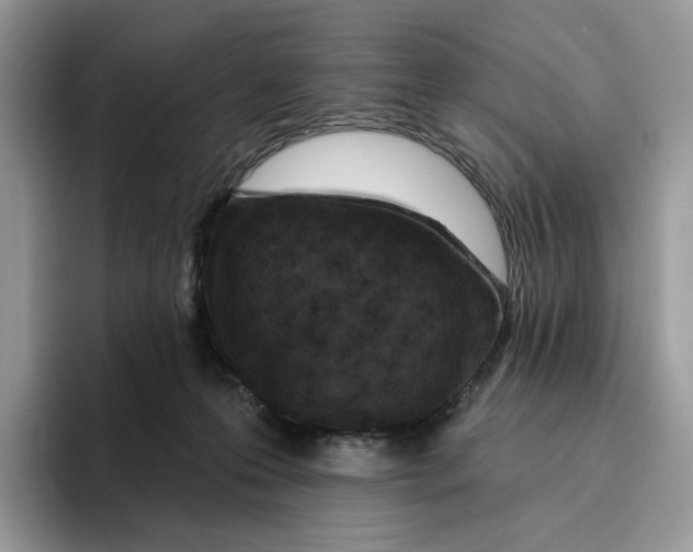 X0000095960223200802011128