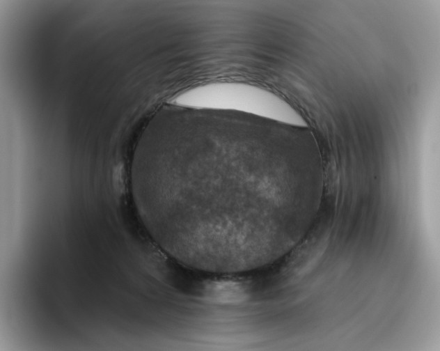 X0000095960224200802011128