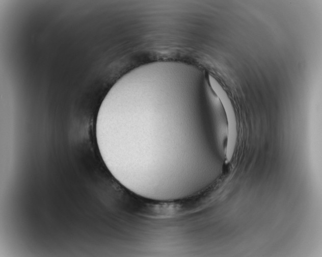 X0000095960225200802011128