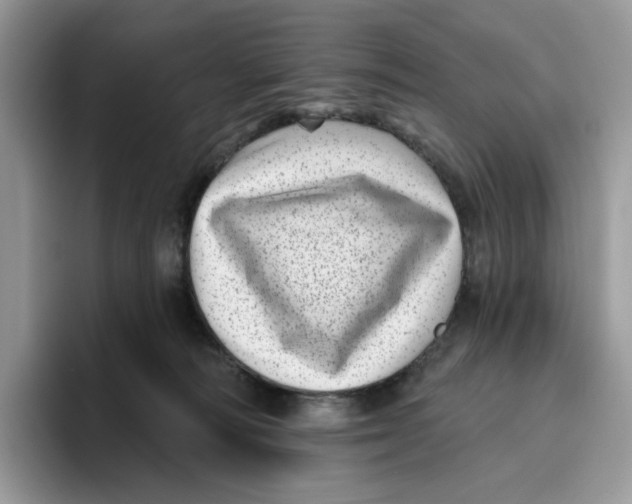 X0000095960226200802011128